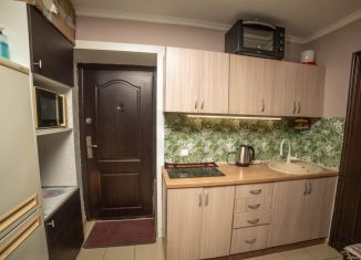 Продается квартира студия, 23 м2, Геленджик, улица Гоголя, 11