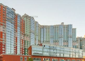 Продается 3-ком. квартира, 90.5 м2, Санкт-Петербург, улица Кустодиева, 7к1, Выборгский район