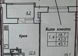 Продажа 1-ком. квартиры, 45.1 м2, Новочебоксарск, Советская улица, 50Е