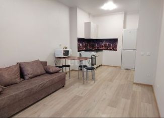 Сдается 2-ком. квартира, 36 м2, Пермь, шоссе Космонавтов, 309Ак1