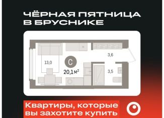 Продается квартира студия, 20.1 м2, Новосибирск, улица Аэропорт, 88