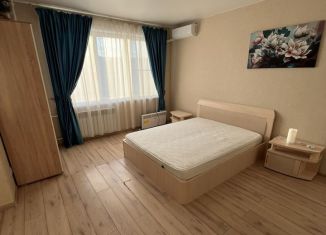 Аренда квартиры студии, 45 м2, Красноярск, улица Шахтёров, 66