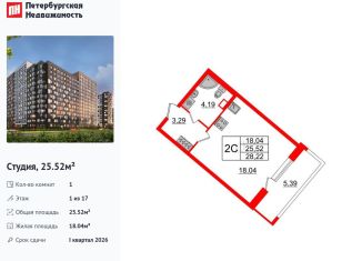 Квартира на продажу студия, 25.5 м2, Санкт-Петербург, Невский район