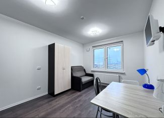 Сдается квартира студия, 19 м2, Санкт-Петербург, Муринская дорога, 31к3, метро Гражданский проспект