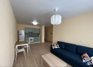 1-ком. квартира в аренду, 48 м2, Екатеринбург, улица Чкалова, 18