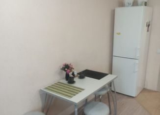 Сдаю в аренду квартиру студию, 30 м2, Киров, улица Павла Корчагина, 240к3