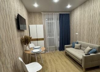 Квартира в аренду студия, 23 м2, Тверь, Оснабрюкская улица, 22