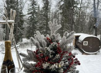 Сдаю коттедж, 75 м2, Республика Башкортостан