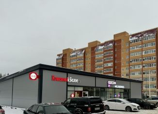 Сдается помещение свободного назначения, 60 м2, Соликамск, улица Цифриновича, 15Б