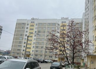 Сдается однокомнатная квартира, 37 м2, Чусовой, улица Мира, 14