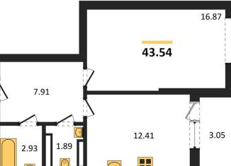 1-ком. квартира на продажу, 43.5 м2, Воронеж, Центральный район