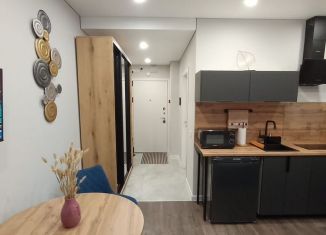 Сдается квартира студия, 24 м2, Москва, улица Лётчика Осканова, 6