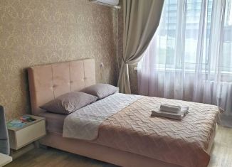 Квартира в аренду студия, 24 м2, Приморский край, Некрасовская улица