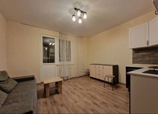 Квартира в аренду студия, 25 м2, Нижний Новгород, улица Романтиков, 6