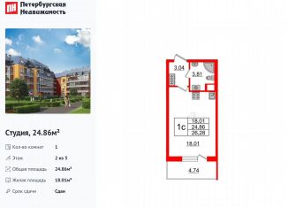 Продаю квартиру студию, 24.9 м2, Санкт-Петербург, Московский район, улица Струве, 10к2