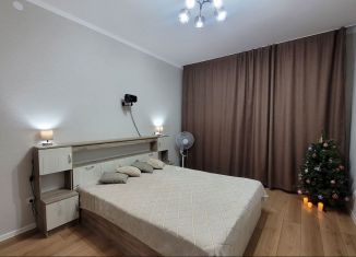 Сдается 1-ком. квартира, 36.5 м2, Сертолово, ЖК Новое Сертолово, улица Мира, 7к1