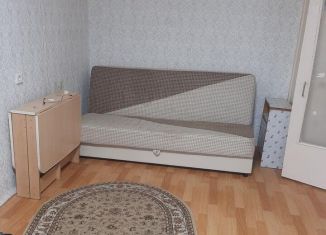 Сдается 1-комнатная квартира, 30 м2, Новосибирск, Вертковская улица, 5/1, Кировский район