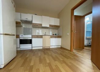 Продается 1-ком. квартира, 41 м2, Санкт-Петербург, улица Николая Рубцова, 3