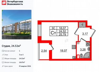 Квартира на продажу студия, 24.5 м2, Санкт-Петербург, Московский район