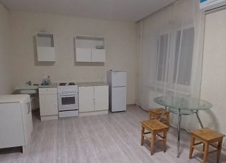 Сдача в аренду квартиры студии, 29 м2, Ростов-на-Дону, переулок Амет Хана Султана, 7, ЖК Суворовский