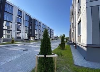 1-ком. квартира на продажу, 38 м2, Калининград, улица Сержанта Мишина, 81к3