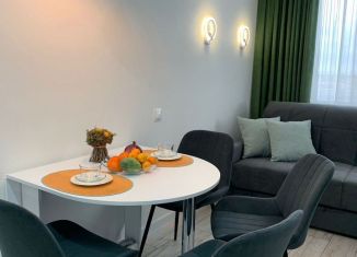 Сдача в аренду квартиры студии, 40 м2, посёлок городского типа Сириус, улица Акаций, 34к3