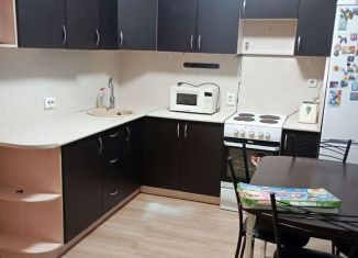 Сдача в аренду 3-ком. квартиры, 59 м2, Петрозаводск, улица Ватутина, 41