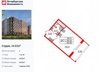 Продажа квартиры студии, 24 м2, Санкт-Петербург, метро Улица Дыбенко