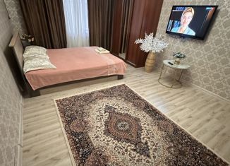 Сдаю однокомнатную квартиру, 50 м2, Дагестан, улица Сальмана