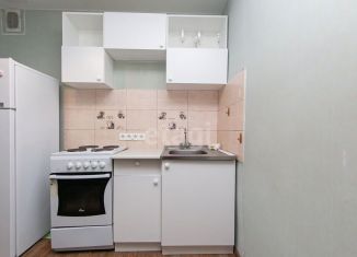 Продажа однокомнатной квартиры, 29 м2, Томск, улица Елизаровых, 48/1