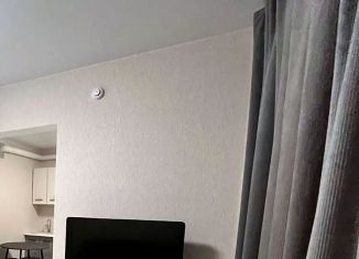 Квартира в аренду студия, 26 м2, Ростов-на-Дону, улица Теряева, 8, ЖК Платовский