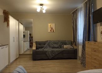Сдам в аренду квартиру студию, 31 м2, посёлок Парголово, Заречная улица, 11к4, ЖК Три Апельсина