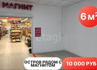 Сдаю в аренду торговую площадь, 6 м2, Тюмень, улица Николая Чаплина, 43