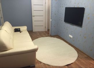 Сдается в аренду 2-комнатная квартира, 45 м2, Нижегородская область, улица Гайдара