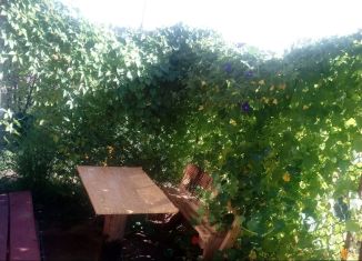 Дача на продажу, 36 м2, СНТ Каменное