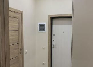 Сдается 1-комнатная квартира, 45 м2, Новосибирск, улица Некрасова, 41, улица Некрасова