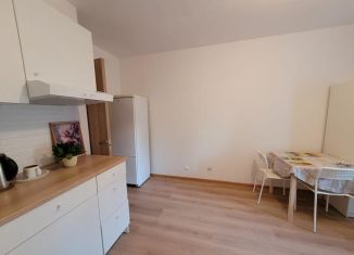 Сдается квартира студия, 21 м2, Санкт-Петербург, Советский проспект, 2