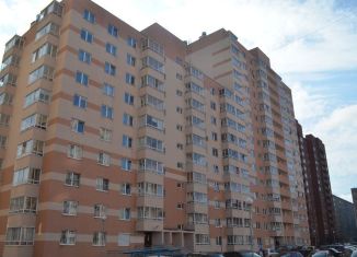 Продажа 1-комнатной квартиры, 43 м2, Екатеринбург, Боровая улица, 31, Боровая улица