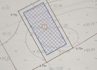 Продам земельный участок, 11 сот., деревня Борисовичи, деревня Борисовичи, 10