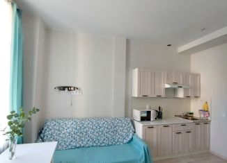 Сдается в аренду квартира студия, 25 м2, Санкт-Петербург, Ленинский проспект, 161к2