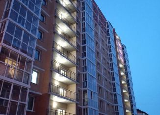 Двухкомнатная квартира на продажу, 68.1 м2, Иркутск, микрорайон Топкинский, 67, ЖК Видный-3