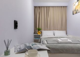 Сдам квартиру студию, 15 м2, Санкт-Петербург, Суворовский проспект, 59