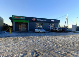 Продаю торговую площадь, 390 м2, село Нагаево, Заповедная улица