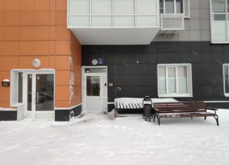 Квартира в аренду студия, 31 м2, рабочий посёлок Андреевка, Клубная улица, 38А