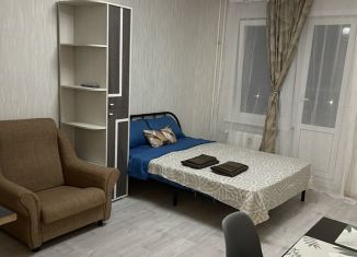 Квартира в аренду студия, 28 м2, Татарстан, проспект Строителей, 8