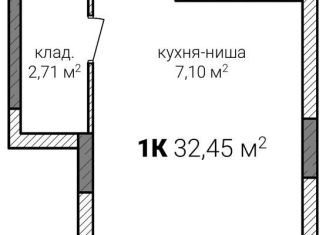 Продается квартира со свободной планировкой, 32.5 м2, Нижегородская область, улица Героя Советского Союза Аристархова