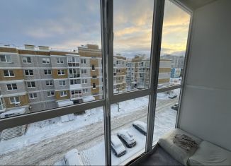 Продажа 1-комнатной квартиры, 28.5 м2, Тульская область, улица Лётчика Пирожкова, 2