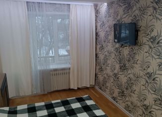 Аренда 2-комнатной квартиры, 38 м2, Великие Луки, проспект Гагарина