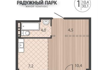 Продажа 1-комнатной квартиры, 30.1 м2, Иркутск, улица Костычева, 28