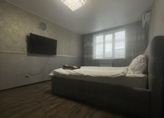 Аренда 1-комнатной квартиры, 43 м2, Рязанская область, Брестская улица, 1